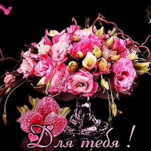 Meet your Posher, Ina